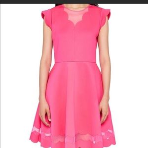 NWT Ted baker sharlot scallop mesh skater dress